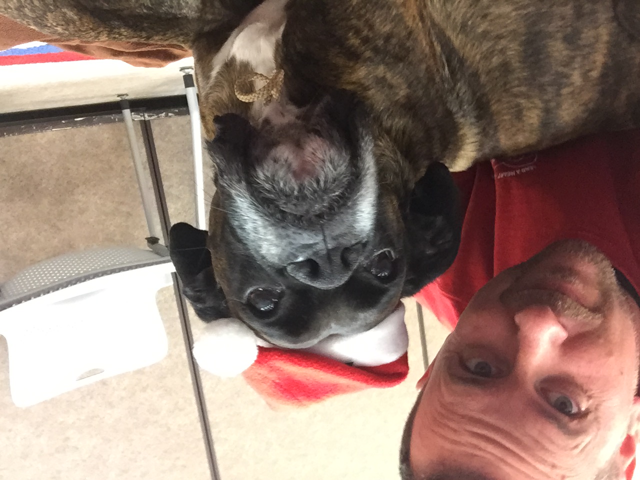 Tim taking a selfie with Zeus wearing a Santa hat