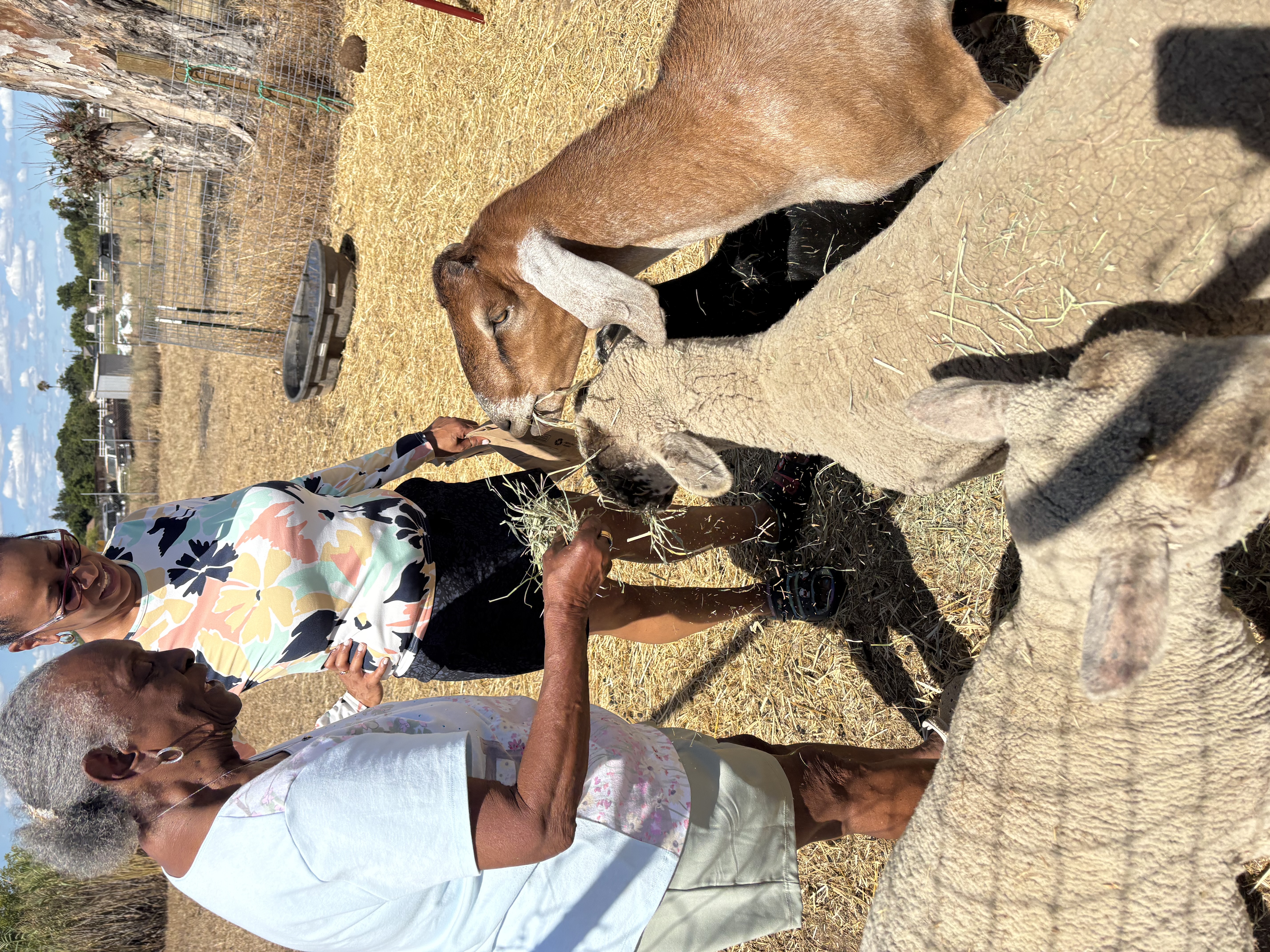 Visitors smiling and petting animals at Cookie's Cuddle Farm on a sunny day
